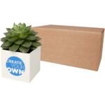 Pot en aluminium avec plante grasse Hey Pots