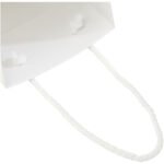 Sac de bouteille de vin en papier 170 g/m2 integra fait à la main avec poignées torsadées en plastique, 12 x 9 x 37 cm – Image 7