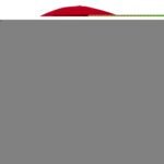 Bonnet Izu – Image 2