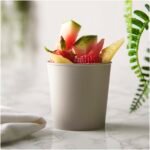 Gobelet de 200 ml Americano® Switch Renew – Image 5