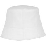 Bob Solaris – Image 2